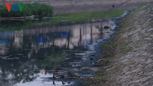 Nang nong, dan Thu do ngat tho voi mui hoi thoi o song To Lich-Hinh-13