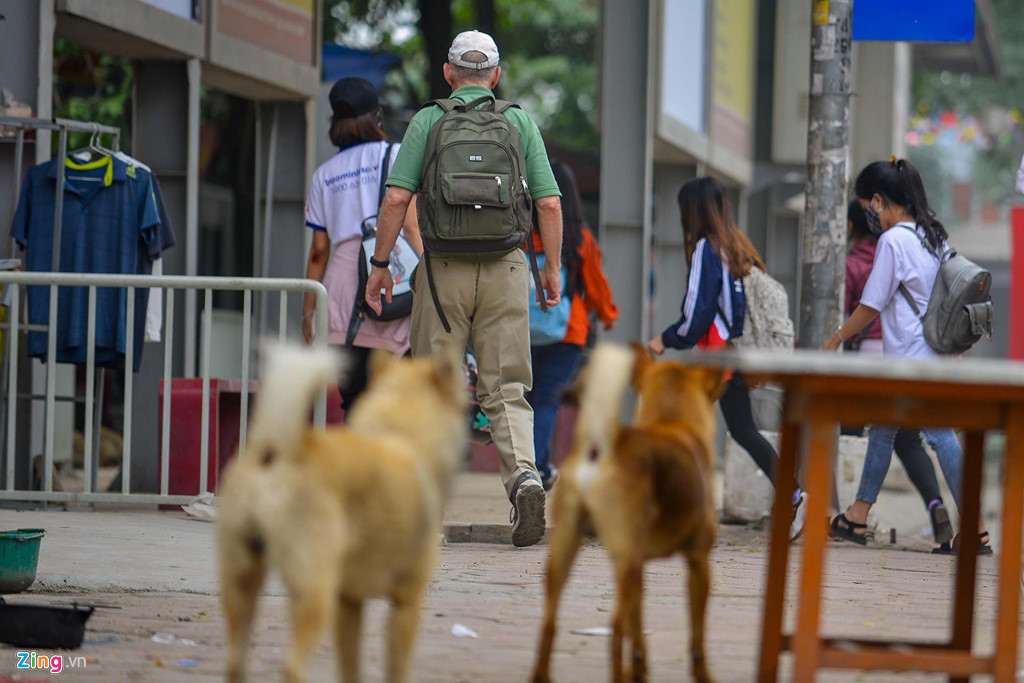 Những con chó được thả tự do ngay tại trạm xe buýt gần ĐH Công Nghiệp. Nơi đây rất nhiều người qua lại, tiềm ẩn nhiều mối nguy hiểm.
