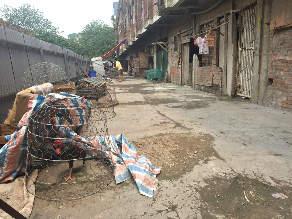 Do lối sống thiếu văn minh, thiếu ý thức giữ gìn vệ sinh chung nên cuộc sống của những người lao động nhập cư ở đây đã ảnh hưởng không nhỏ đến cuộc sống của những cư dân xung quanh 2 bên khu nhà.