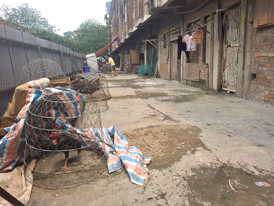 Do lối sống thiếu văn minh, thiếu ý thức giữ gìn vệ sinh chung nên cuộc sống của những người lao động nhập cư ở đây đã ảnh hưởng không nhỏ đến cuộc sống của những cư dân xung quanh 2 bên khu nhà.