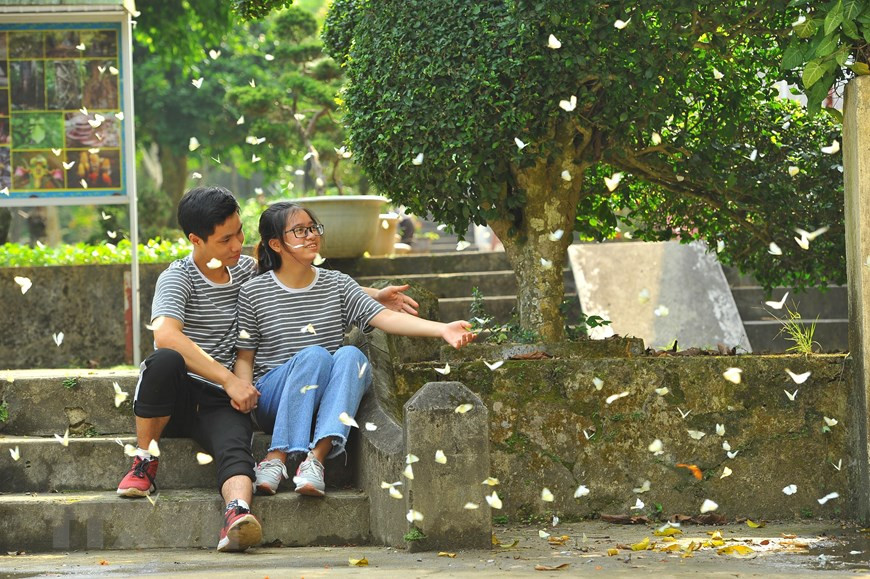 Mùa bướm rừng Cúc Phương như một điểm đến mới của những người yêu du lịch, nơi đây thu hút đông du khách trong và ngoài nước. (Ảnh: Minh Đức/TTXVN)