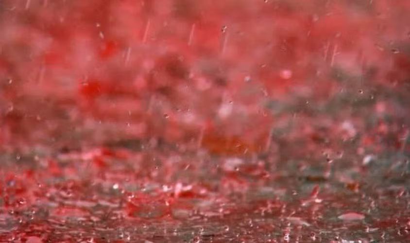 Vào ngày 25/7/2001, " cơn mưa máu" bí ẩn trút xuống bang Kerala, Ấn Độ khiến nhiều người bất ngờ và cảm thấy khó hiểu. Sự việc nàu xảy ra ở nhiều khu vực tại Kerala cũng như kéo dài tới ngày 23/9/2001.