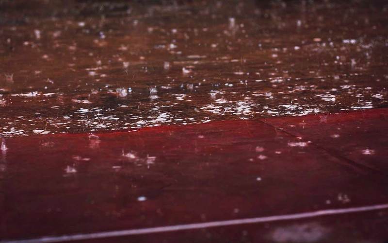 Do các tế bào này không chứa ADN - thành phần chủ yếu của mọi dạng sống trên Trái đất - nên Tiến sĩ Godfrey cho rằng có thể chúng là các dạng sống ngoài hành tinh.