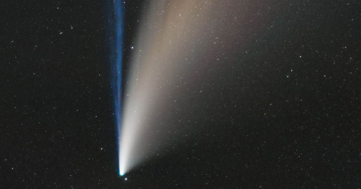 Theo NASA, sao chổi có thể nhìn thấy bằng ống nhòm trên bầu trời buổi sáng đối với những người quan sát bầu trời ở Bắc bán cầu trong hầu hết tháng 1. Trong khi đó, những người ở Nam bán cầu sẽ nhìn thấy sao chổi vào đầu tháng 2.