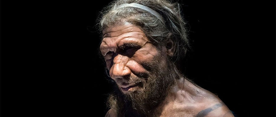 Từ đây, nhóm nhgiên cứu đi đến kết luận rằng, quan điểm cho rằng người Neanderthals tuyệt chủng vì kém thông minh hoặc bị người tinh khôn Homo sapiens "lấn lướt" là không chính xác.