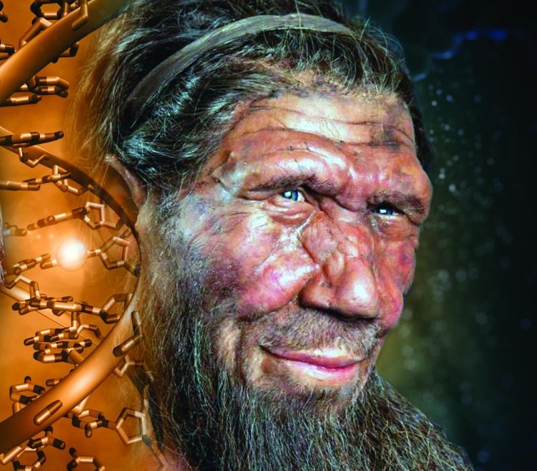 Do vâỵ, họ cho rằng giói khoa học cần thực hiện thêm các nhiên cứu để giải mã lý do khiến người Neanderthals biến mất.