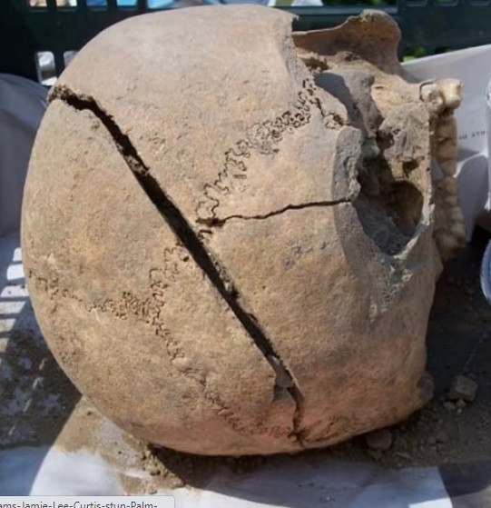 Căn cứ vào tình trạng 4 nhát kiếm ở vùng đầu, các chuyên gia suy đoán kẻ sát nhân quyết tâm giết người đàn ông trẻ đến cùng.