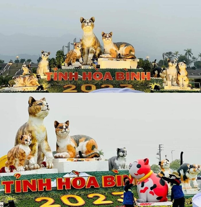 Mèo Hòa Bình.