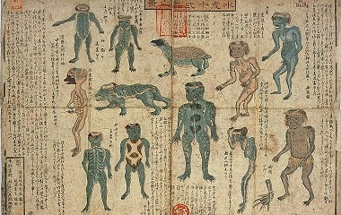 Thủy quái Kappa có miệng nhọn, da cứng như thằn lằn và cơ thể có màu xanh kỳ quái có thể thay đổi màu sắc theo môi trường.