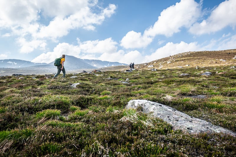 Mỗi lần Big Grey Man xuất hiện, các nhân chứng đều nghe thấy âm thanh giống như khi những viên sỏi vỡ vụn do quái thú khổng lồ này nghiền nát dưới chân.