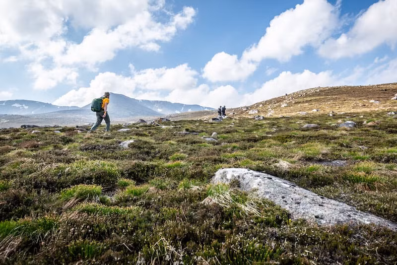 Mỗi lần Big Grey Man xuất hiện, các nhân chứng đều nghe thấy âm thanh giống như khi những viên sỏi vỡ vụn do quái thú khổng lồ này nghiền nát dưới chân.