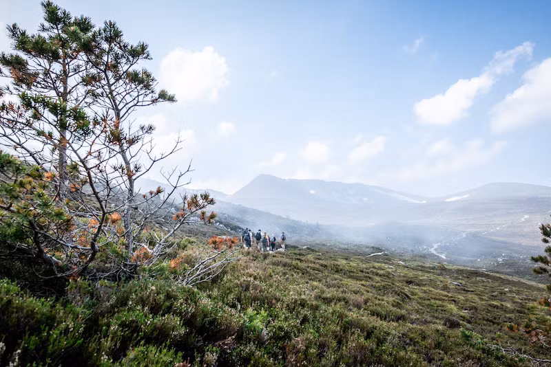 Tuy nhiên, giống như Yeti (người tuyết) của dãy Himalaya và Big Foot (quái vật chân to) ở Tây Bắc Thái Bình Dương của Mỹ, đến nay, giới chuyên gia vẫn chưa thể tìm ra "hang ổ" của Big Grey Man cũng như bất cứ bằng chứng nào giúp xác thực về sự tồn tại của sinh vật huyền bí này.