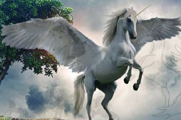 Ngựa một sừng là sinh vật huyền bí được nhiều nền văn minh đề cập đến. Trong đó, những ghi chép sớm nhất về quái thú này được cho là vào năm 400 trước Công nguyên.