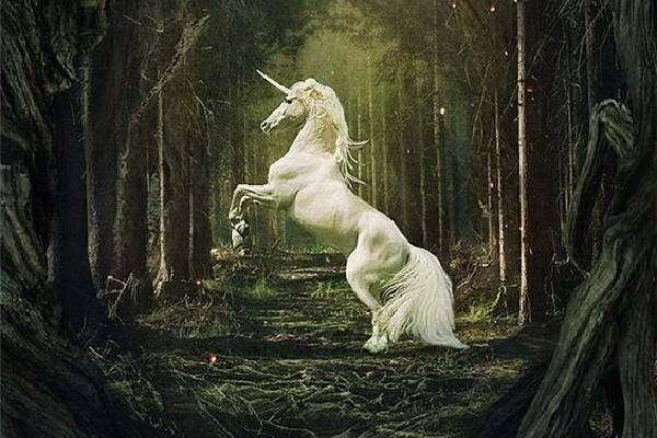 Sinh vật huyền bí này được người xưa mô tả có một chiếc sừng ở trán. Nó được xem là sinh vật biểu tượng cho sự thuần khiết, khôn ngoan và quyền lực. Theo một giả thuyết, sinh vật này không kịp lên tàu Noah’s Ark (con tàu cứu sống Noah, gia đình và các con thú trước trận lũ, theo Kinh Thánh) nên đã biến mất không để lại dấu vết.