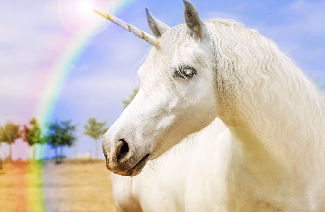 Trong suốt nhiều năm, giới chuyên gia tranh luận về việc ngựa một sừng có thực sự từng tồn tại trên Trái đất hay không. Do chưa ai có thể đưa ra bằng chứng khoa học để chứng minh quan điểm nào là đúng nên sự tồn tại của ngựa một sừng vẫn là bí ẩn lớn mà nhân loại khao khát giải mã.