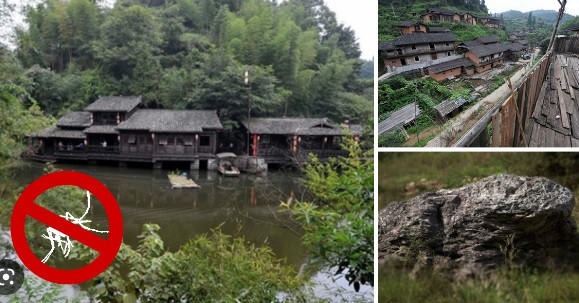 Ngôi làng Đinh Ốc Lĩnh nằm ở độ cao hơn 700m so với mực nước biển. Nơi đây được bao phủ bởi rừng cây xanh tốt. Thêm nữa, trong làng cũng có nhiều ao nước.