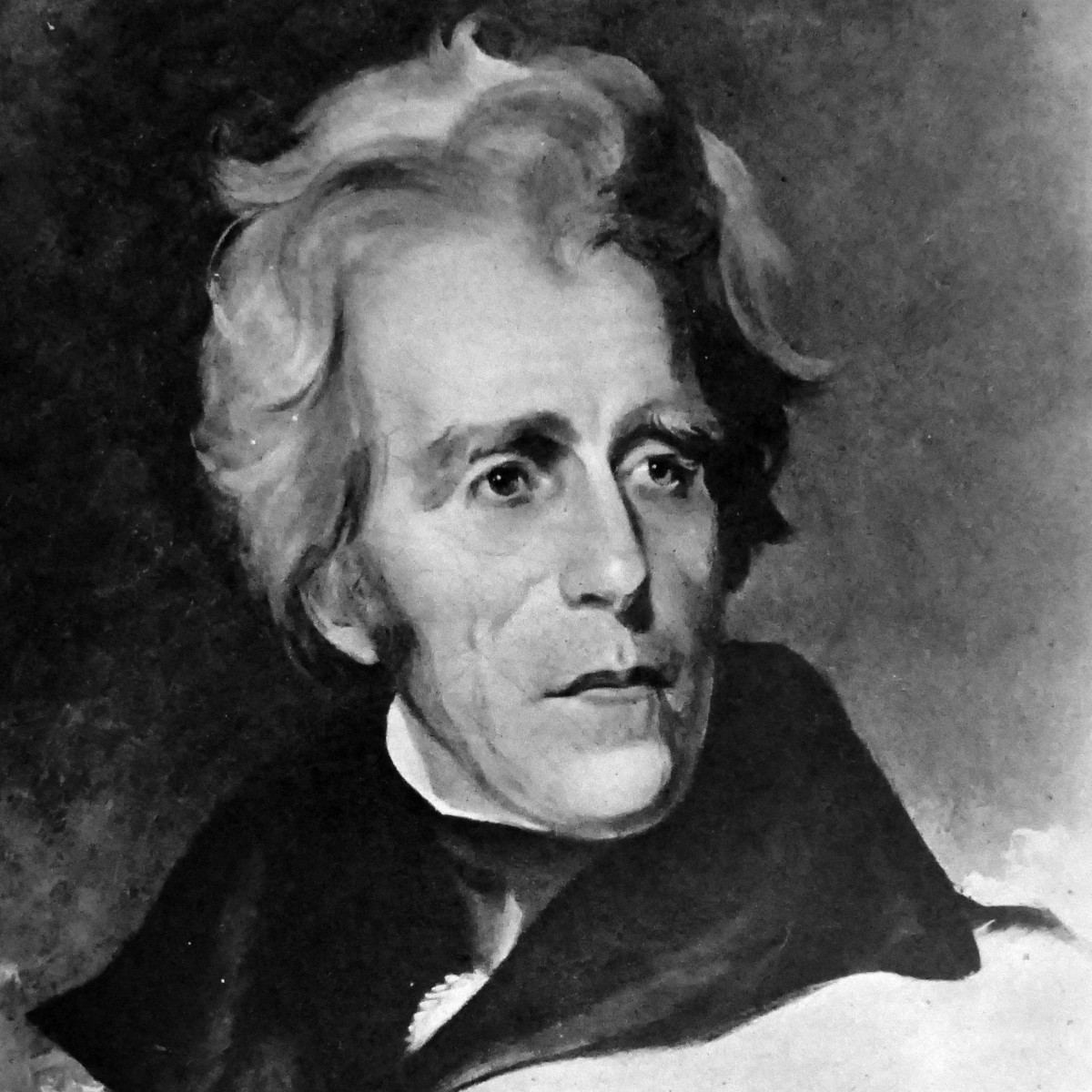 Tổng thống thứ 7 của nước Mỹ là Andrew Jackson qua đời năm 1845. Khi còn sống, ông có nuôi một con vẹt. Con vật này có tính cách rất khó ưa khi thường chửi bậy.