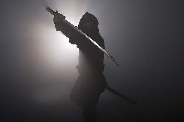 Do đó, Ninja trở thành cơn ác mộng của nhiều lãnh chúa thời phong kiến. Xuất phát từ điều này, các lãnh chúa thường bố trí lực lượng canh gác suốt ngày đêm cũng như thiết lập một hệ thống báo động khi phát hiện có kẻ xâm nhập để kịp thời đối phó kẻ thù.