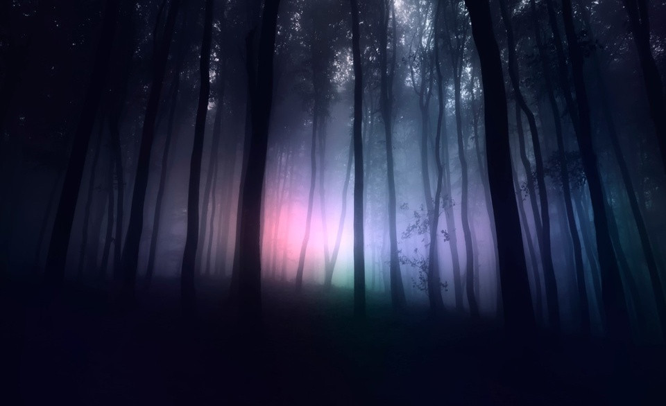 Không những vậy, rừng Hoia Baiciu còn được các nhân chứng báo cáo đột nhiên phát ban, có cảm giác buồn nôn, lâng lâng khi tiến sâu vào rừng. Thậm chí, một vài người còn nhìn thấy những vầng ánh sáng kỳ lạ, nghe được giọng nói bí ẩn đột nhiên vang lên hay tự nhiên trên cơ thể có vết trầy xước khó hiểu. Đặc biệt, có người còn mất ý thức về thời gian khi ở trong rừng.