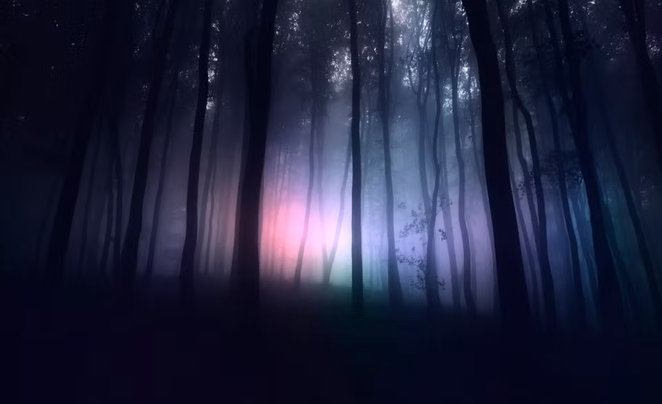 Không những vậy, rừng Hoia Baiciu còn được các nhân chứng báo cáo đột nhiên phát ban, có cảm giác buồn nôn, lâng lâng khi tiến sâu vào rừng. Thậm chí, một vài người còn nhìn thấy những vầng ánh sáng kỳ lạ, nghe được giọng nói bí ẩn đột nhiên vang lên hay tự nhiên trên cơ thể có vết trầy xước khó hiểu. Đặc biệt, có người còn mất ý thức về thời gian khi ở trong rừng.