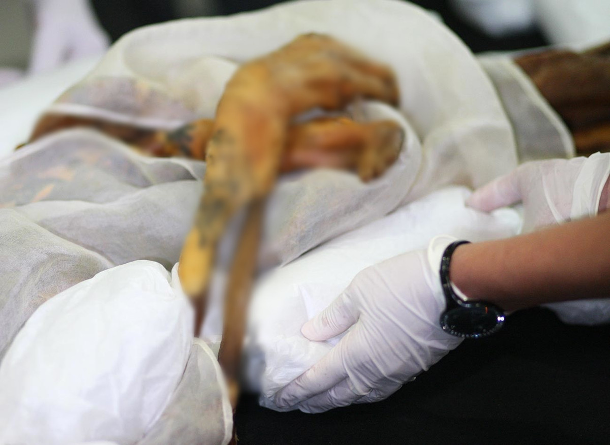 Theo các chuyên gia, "Công chúa Altai" là thi hài một phụ nữ qua đời cách đây khoảng 2.500 năm. Dù vậy, xác ướp này vẫn còn khá nguyên vẹn giúp ích rất nhiều cho giới khoa học giải mã các bí ẩn về người phụ nữ này.