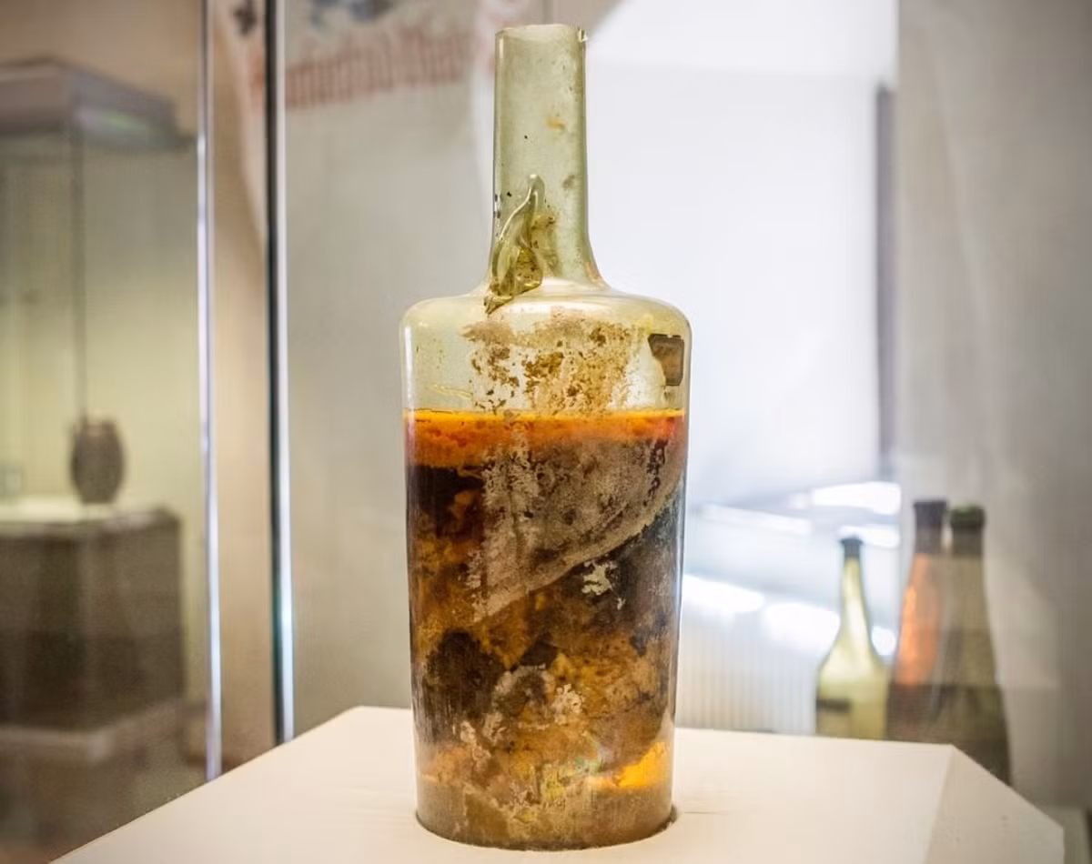 Theo các chuyên gia, đó là chiếc bình làm bằng chất liệu thủy tinh màu vàng xanh, dung tích 1,5 lít và có quai cầm hình con cá. Chiếc bình được cho là sản xuất tại địa phương. Đây cũng là chai rượu vang cổ nhất thế giới. Dưới đáy bình là lớp chất lỏng trong suốt, phía trên là hỗn hợp màu nâu vàng.