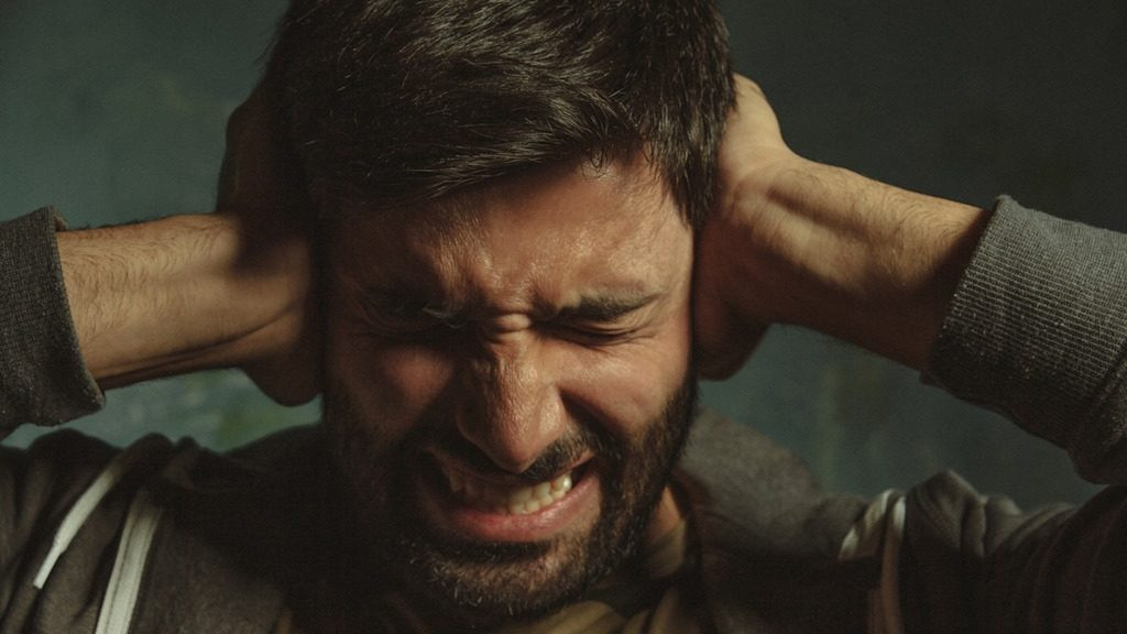 Các nhà khoa học đã tiến hành nhiều nghiên cứu nhằm tìm ra nguồn phát âm thanh bí ẩn này nhưng vẫn chưa thành công. Trong khi khoa học chưa tìm ra lời giải, một số giả thuyết cho rằng, âm thanh The Hum đến từ việc xe cộ hoặc những hoạt động của các nhà máy địa phương.