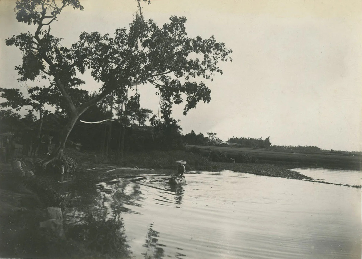 Hình ảnh tắm trâu quen thuộc ở làng quê miền Bắc Việt Nam.