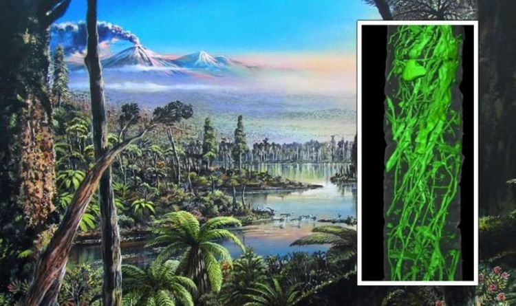 Thế nhưng, theo nghiên cứu của các chuyên gia, vào 250 triệu năm trước, Nam Cực từng là khu vực ấm áp, cây cối mọc um tùm và hệ động thực vật phong phú. Vì sao Nam Cực có sự thay đổi trái ngược lớn như vậy so với hiện nay? Đây là câu hỏi lớn mà các chuyên gia vẫn đang đi tìm lời giải.