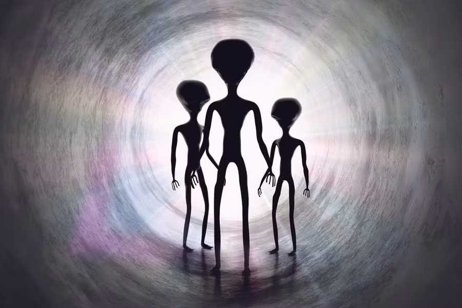 Trong sự kiện này, sinh vật ngoài Trái đất đã khiến 23 binh sĩ Nga đứng gần UFO bị "hóa đá". Hai binh sĩ may mắn thoát nạn kể rằng, đơn vị đã bắn rơi UFO. Sau đó, 5 người ngoài hành tinh bước ra khỏi phi thuyền. Họ có đầu lớn, mắt đen to tròn, chân tay khẳng khiu.