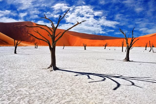Deadvlei ở Namibia được xem là “nghĩa địa cây khô” bởi nơi đây không có sự sống, cây cối chết khô vì khí hậu vô cùng khắc nghiệt, đất đai khô cằn và không có nước. Điều này khiến tất cả các thảm thực vật ở đây không thể sinh tồn và chỉ còn lại những cái cây chết khô chuyển sang màu đen. Cảnh quan thiên nhiên vô cùng độc đáo này đã thu hút được sự quan tâm của nhiều người, đặc biệt là các nhiếp ảnh gia.