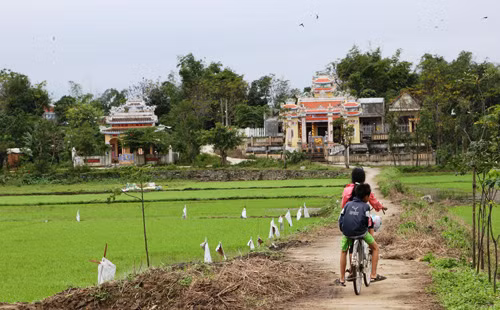 Ong Nguyen Ba Thanh duoc an tang tai dau?