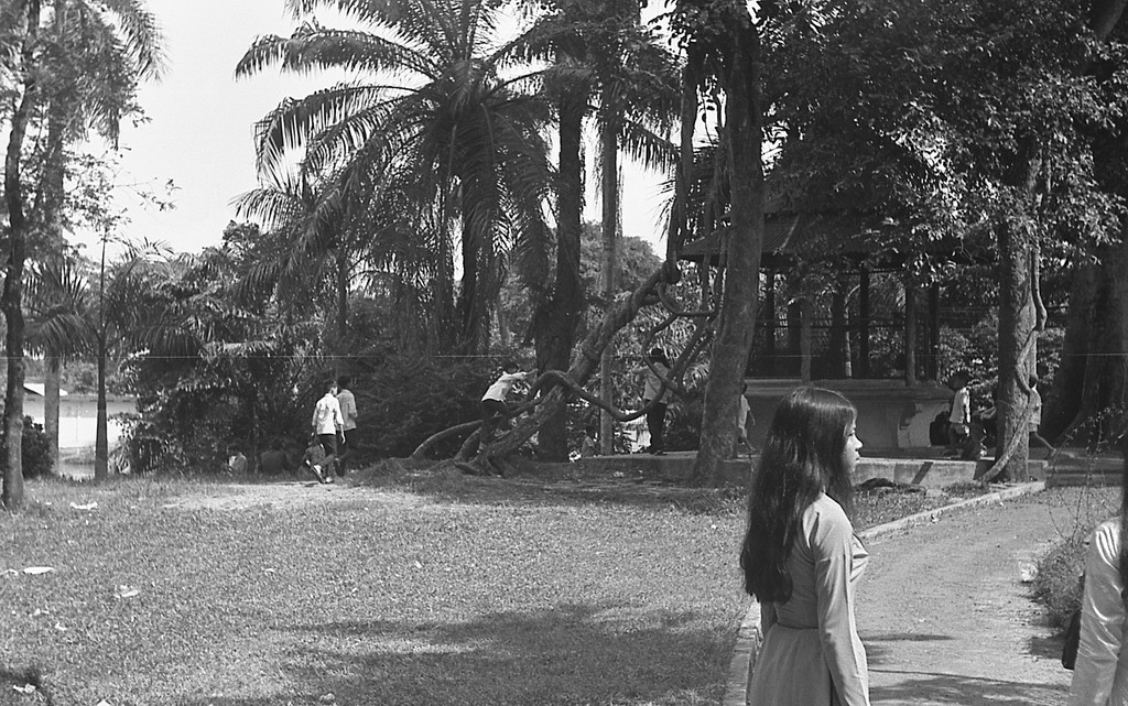 Con đường ven rạch Thị Nghè của Thảo Cầm Viên. Ảnh: Carl Nielsen.