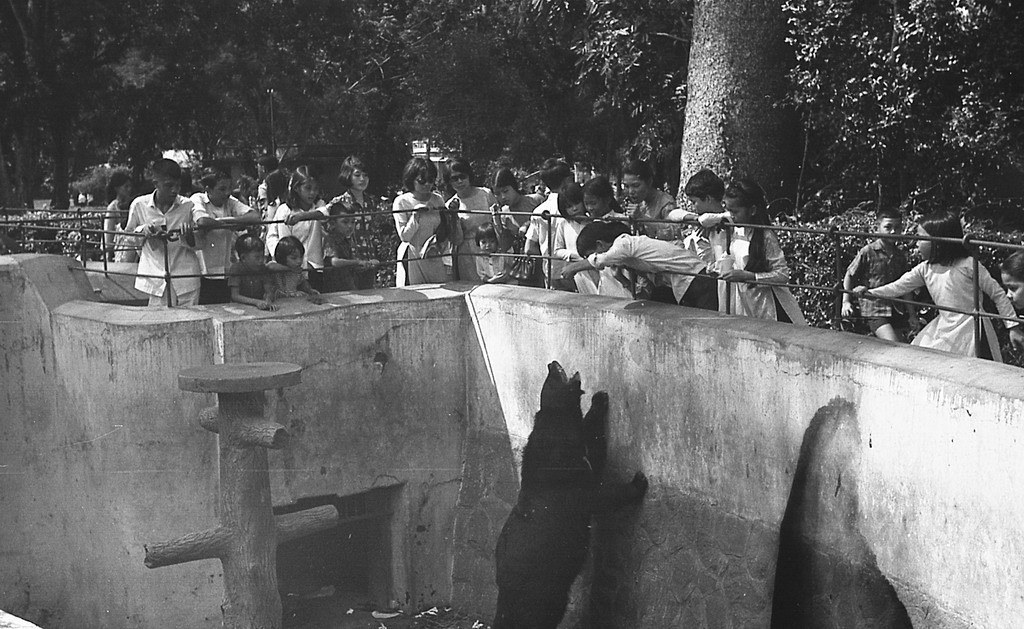 Du khách tụ tập khá đông tại khu chuồng gấu. Ảnh: Carl Nielsen.