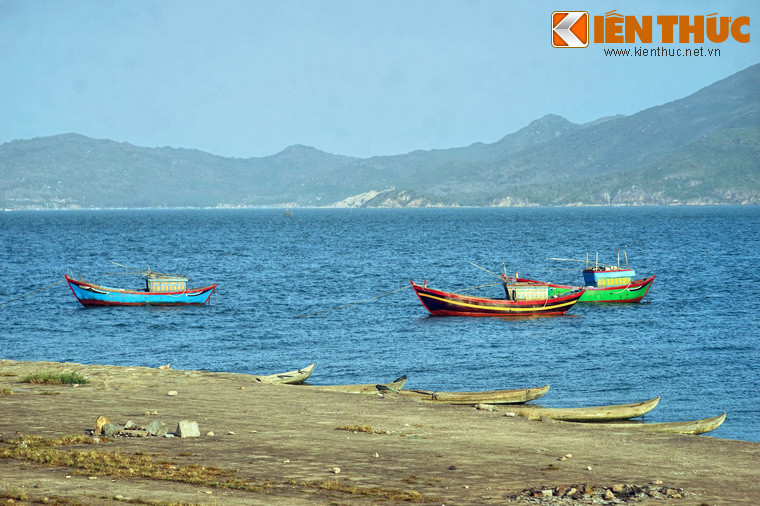 Đầm Thị Nại có diện tích hơn 5.000 ha, chiều dài hơn 15 km, chiều ngang chỗ rộng nhất gần 5 km, là một đầm nước có diện tích lớn trong khu vực.