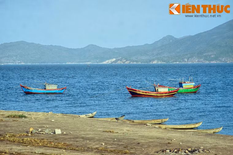 Đầm Thị Nại có diện tích hơn 5.000 ha, chiều dài hơn 15 km, chiều ngang chỗ rộng nhất gần 5 km, là một đầm nước có diện tích lớn trong khu vực.