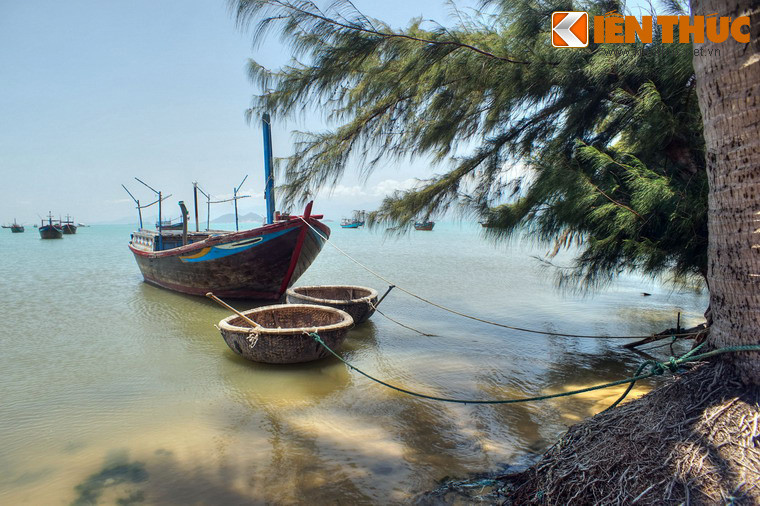 Với những người ưa khám phá điều mới mẻ, các làng chài với cuộc sống mộc mạc hoặc các cánh rừng nguyên sinh bên bờ vịnh là điểm đến lý thú không nên bỏ qua.