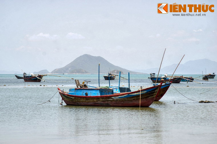 Theo đánh giá của các chuyên gia Chương trình Phát triển du lịch Liên Hiệp Quốc (PNUD), vịnh Vân Phong là nơi có tiềm năng hàng đầu khu vực châu Á để phát triển du lịch sinh thái, có sức thu hút đông đảo du khách bốn phương.