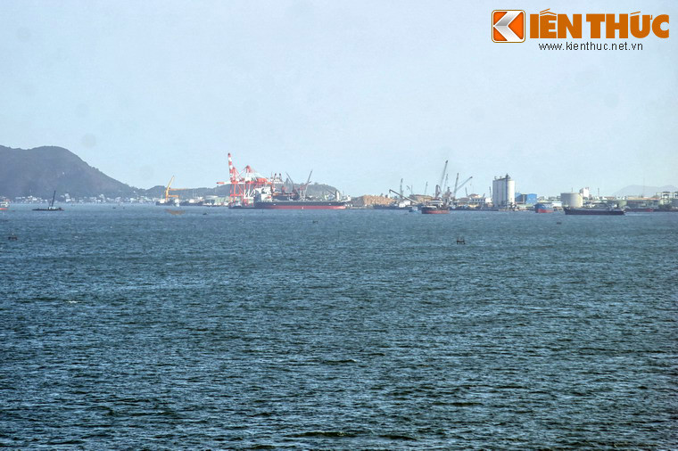 Ngày nay, đầm Thị Nại là một khu vực có ý nghĩa lớn về kinh tế của thành phố Quy Nhơn và tỉnh Bình Định. Lòng đầm là nơi đánh bắt cá của nhiều hộ ngư dân. Một phần của đầm được sử dụng làm cảng biển (cảng Quy Nhơn).