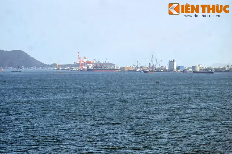 Ngày nay, đầm Thị Nại là một khu vực có ý nghĩa lớn về kinh tế của thành phố Quy Nhơn và tỉnh Bình Định. Lòng đầm là nơi đánh bắt cá của nhiều hộ ngư dân. Một phần của đầm được sử dụng làm cảng biển (cảng Quy Nhơn).