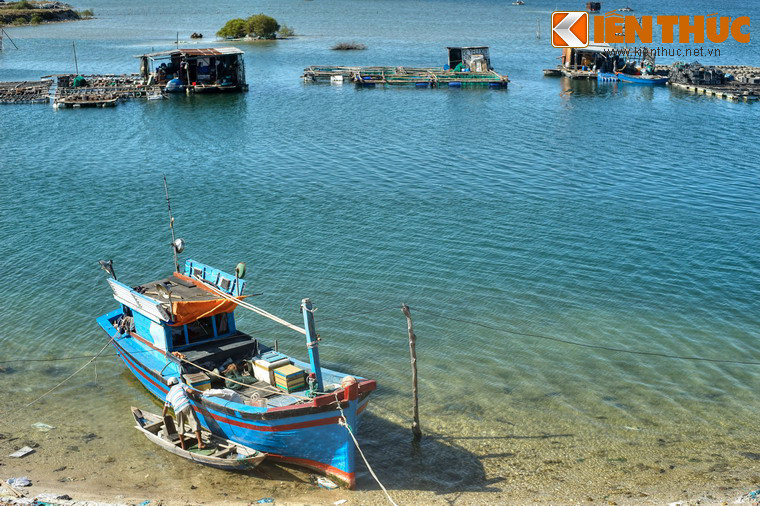 Lòng vịnh có nguồn hải sản trù phú, là cơ sở cho việc phát triển ngành đánh bắt và nuôi trồng hải sản trong khu vực. Các loại hải sản nổi tiếng nhất ở Cam Ranh là tôm hùm và sò huyết.