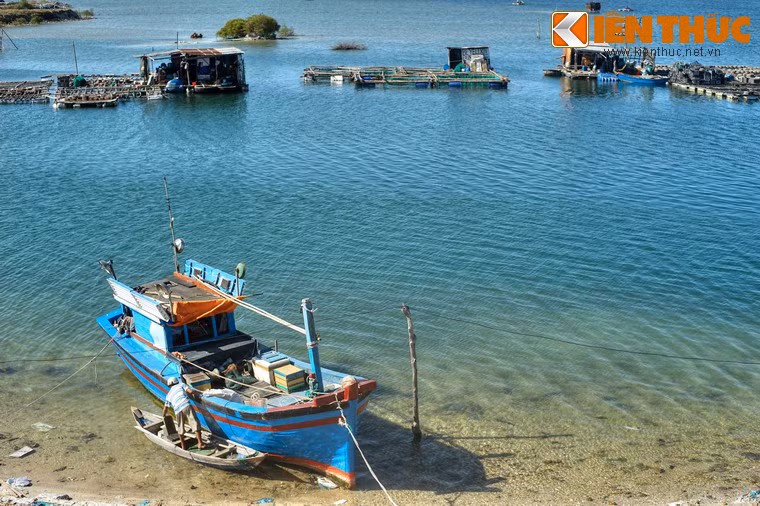 Lòng vịnh có nguồn hải sản trù phú, là cơ sở cho việc phát triển ngành đánh bắt và nuôi trồng hải sản trong khu vực. Các loại hải sản nổi tiếng nhất ở Cam Ranh là tôm hùm và sò huyết.