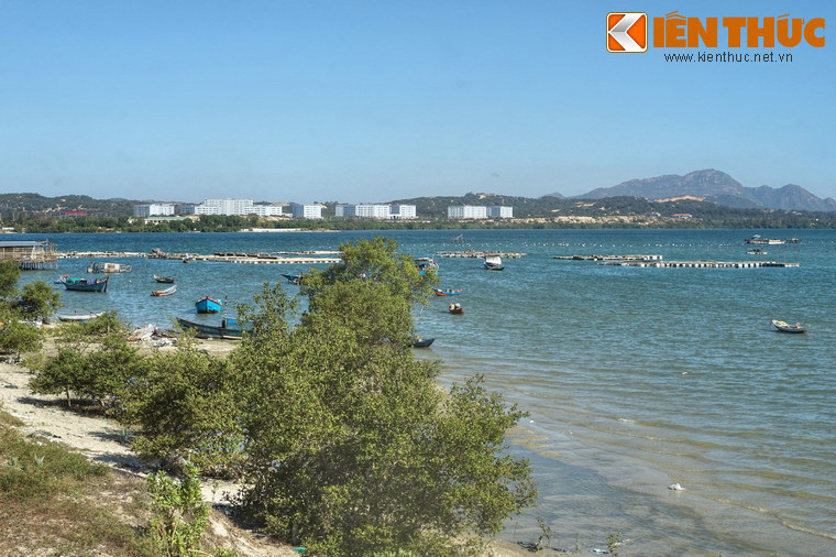 Trong những năm qua các loại hình du lịch biển quốc tế đã từng bước được đầu tư phát triển tại vịnh Cam Ranh như: tắm biến, bơi thuyền, câu cá, lặn biển xem san hô, nghỉ dưỡng, chữa bệnh, leo núi...