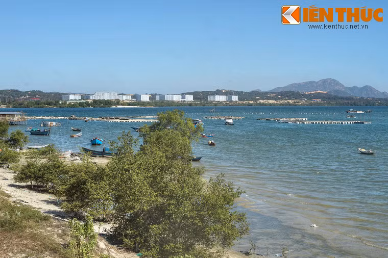 Trong những năm qua các loại hình du lịch biển quốc tế đã từng bước được đầu tư phát triển tại vịnh Cam Ranh như: tắm biến, bơi thuyền, câu cá, lặn biển xem san hô, nghỉ dưỡng, chữa bệnh, leo núi...