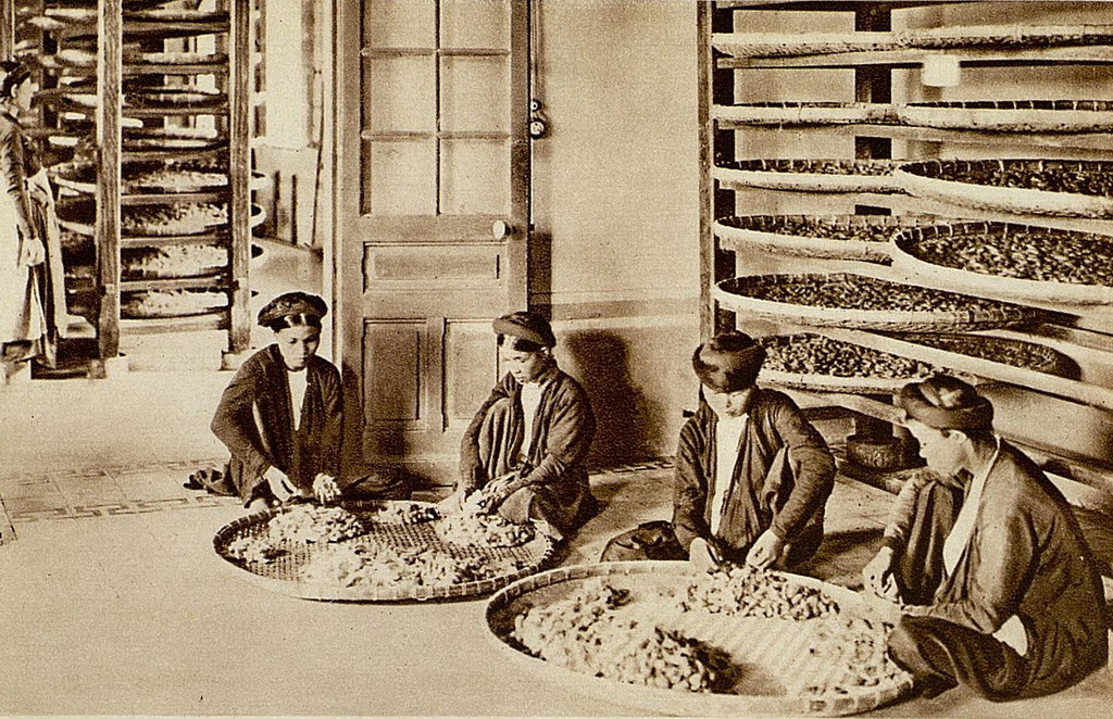 Những người phụ nữ phân loại kén tằm tại một làng nghề trồng dâu nuôi tằm. Ảnh: Gallica.bnf.fr.