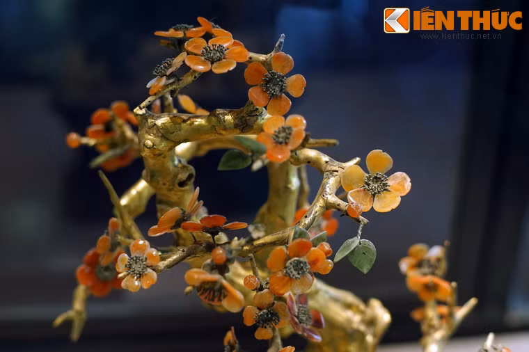 Cây mai đỏ này đã mất khá nhiều lá và các loại cây trang trí xung quanh, dù vậy các đóa hoa vẫn toát lên vẻ đẹp rất tinh tế.