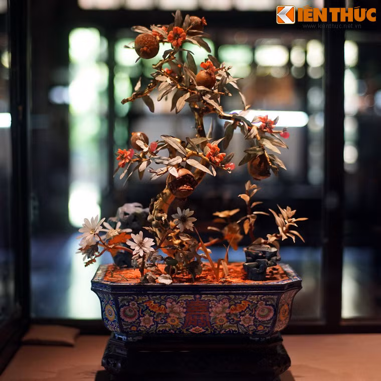 "Cành vàng lá ngọc" tiếp theo là một cây lựu có từ thời Đồng Khánh, cao khoảng 55 cm, được đặt trong chậu có kiểu dáng và hoa văn tương tự chậu cây mai trắng.