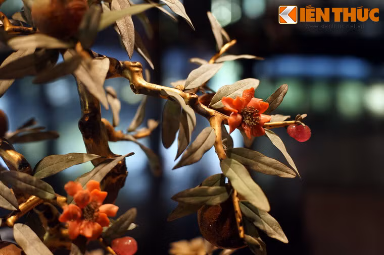 Theo thống kê, hiện tại ở Huế chỉ còn trên dưới 20 chậu cây "cành vàng lá ngọc" được lưu giữ, khá nhiều trong số đó đã bị hư hại nặng nề.