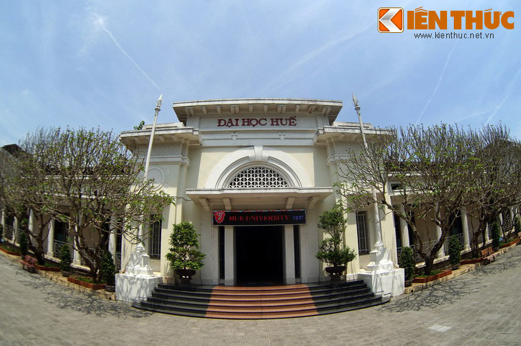 Viện hoạt động với 33 nghị viên, đứng đầu là viện trưởng. Thành phần nghị viên phải thuộc ít nhất một trong 6 diện: 1 - Công chức. 2 - Sinh viên hoàn tất đại học. 3 - Cai tổng. 4 - Đại biểu của hội đồng kỳ hào hàng xã do Viện Cơ mật chọn. 5 - Quan lại. 6 - Thương gia đóng ngạch thuế cao.