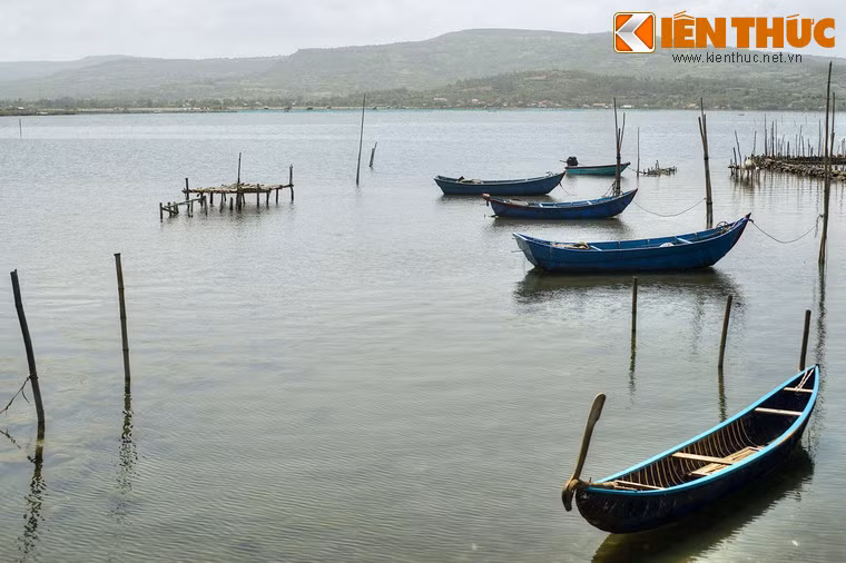 Từ xưa đến nay, vẻ đẹp kỳ vĩ của đầm Ô Loan đã trở thành thi hứng để các thi sĩ chắp bút viết nên bao vần thơ hay.